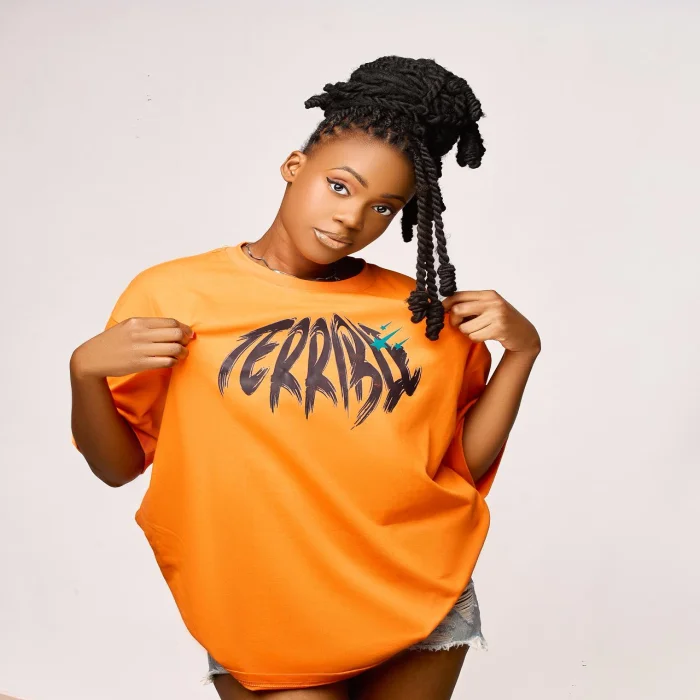 T SHIRT TERRIBLE